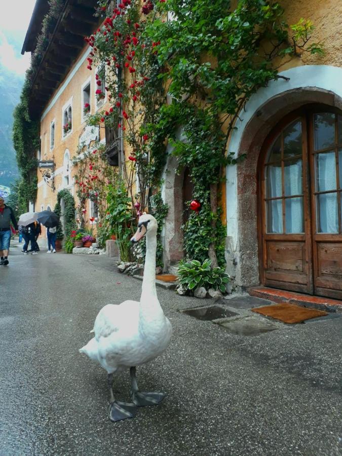 Braeugasthof Inn 3*